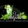 El Mojito Restaurant logo